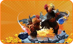 Sảnh Đá Gà 23win